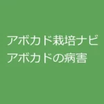 アボカド栽培ナビ